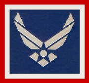 airforcewings.jpg